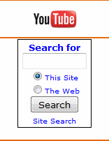 internet search box