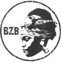 bzb 2013