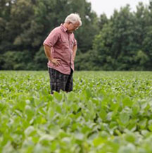 mississippi farmer