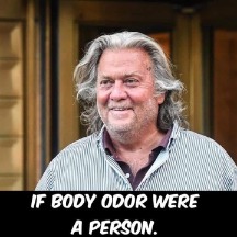 steve bannon  