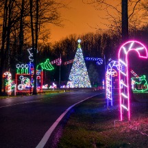 winter festival lights